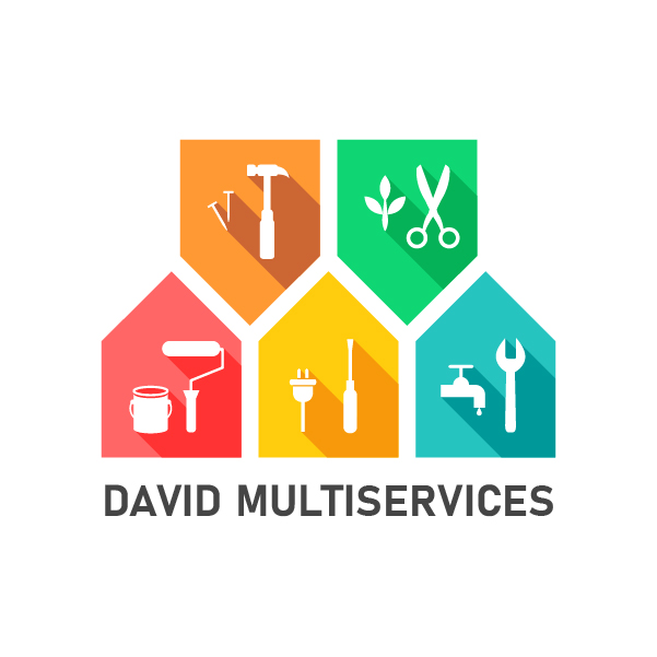 logo David Multiservices